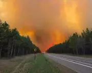 Minnesota National Guard Deployed to Combat Northern Wildfires
