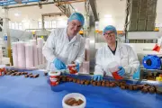 Mr Kipling's biggest year boosts Premier Foods profit above forecasts