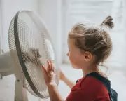 My Homemade Air-Con Unit Does the Trick, Says Inventor