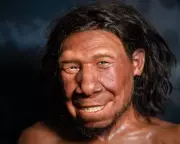 Neanderthal Used Stone Drill for Cavity 59,000 Years Ago, Tooth Shows