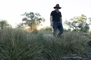 NSW Delayed Wetland Water for Farming, Emails Show