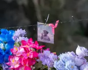 NT Government's Response to Indigenous Child Death Criticized as Deeply Alarming