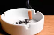 Philip Morris Warns Illegal Tobacco Could End Legal Sales in Australia by 2030
