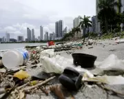 Plastic Food Packaging Dominates Global Coastal Litter, Study Finds