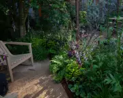 Prickly Garden Wins Gold at Chelsea Flower Show, Celebrates Imperfection