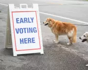 Ranked-Choice Voting Could Transform American Democracy