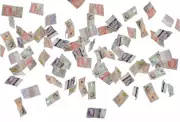 Readers Debate Cap on Donations to Protect Democracy