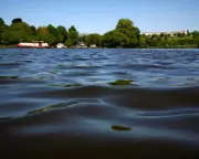 River Thames Gets First Official Bathing Spot in London