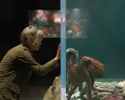 Sally Field Bonds with Octopus in Gentle Netflix Drama Remarkably Bright Creatures