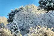 Snow Forecast for Three States as Cold Front Hits South-East Australia