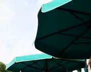 South Carolina Woman Dies in Freak Umbrella Accident