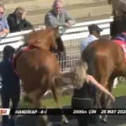 Stable Worker Kicked by Racehorse at Redcar Parade Ring