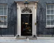 Starmer's Authority Crumbles Amid Labour Turmoil and Calls to Resign