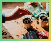 Sustainable Plant Shopping: Tips for Eco-Friendly Gardening This Spring