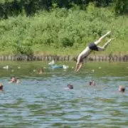 Swimmers Threaten Hampstead Heath Wildlife During Nesting Season