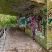 Teen Rape Victim's Nightmare: Flashbacks and Fear After Attack