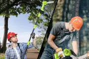 Top Cordless Chainsaws for Pruning: Best Picks on Amazon