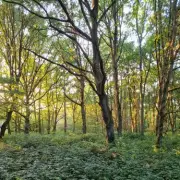 Trent Country Park: North London's Piccadilly Line Gem for Relaxed Walks
