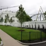 Trump Begins Building UFC Ring Outside White House for Birthday Bout