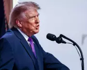 Trump Claims Iran Attack Paused at Gulf States' Request for Peace Talks