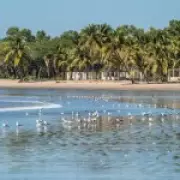 TUI Launches Direct Flights from Birmingham to The Gambia for Winter Sun
