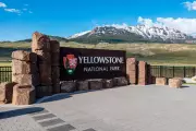 Two Hikers Injured in Bear Attack on Yellowstone Trail Near Old Faithful