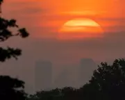 UK Must Adapt to New Normal of Extreme Heat, Experts Warn