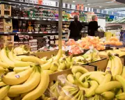 UK Treasury's Supermarket Food Price Cap Plan: A Nonsense Idea