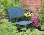 Why I'm Finally Enjoying My Rented Garden After Years of Hesitation