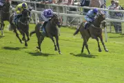 York Dante Festival: Rousing Encore, Cool Hoof Luke, and Stressfree Selections