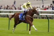 Zeus Olympios Poised for Lockinge Glory at Newbury on Saturday
