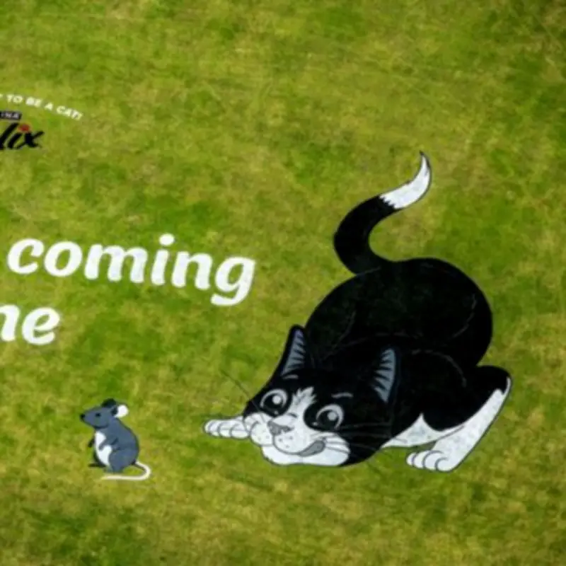 18,800sq ft Felix the Cat Mural Under Heathrow Flightpath Tells Fans 'It's Coming Home'