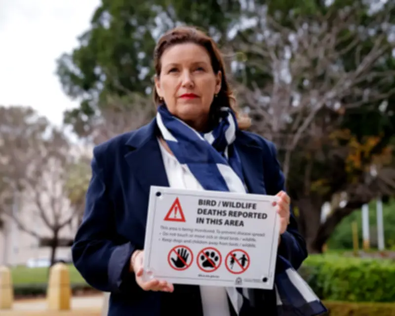 Australia Politics Live: NSW and Queensland Budgets, Tax Reforms, NDIS News