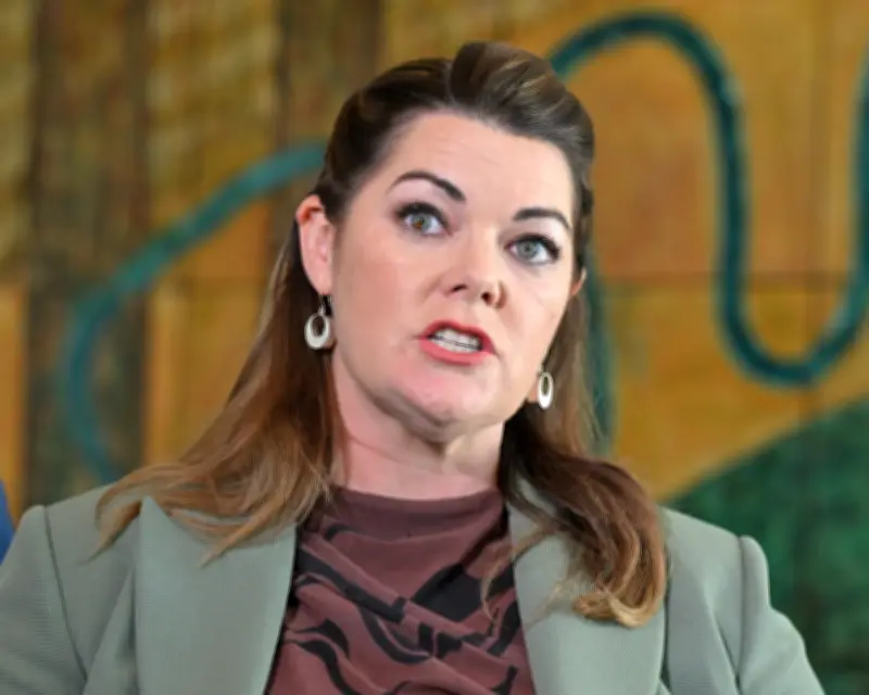 Australia 'sleepwalking' into AI crisis, Greens senator warns as Pocock challenges government