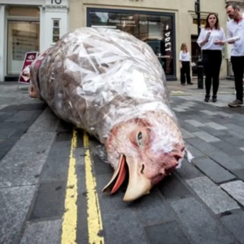 Car-Sized Fake Chicken Dumped Outside Oxford Circus Pret in Protest
