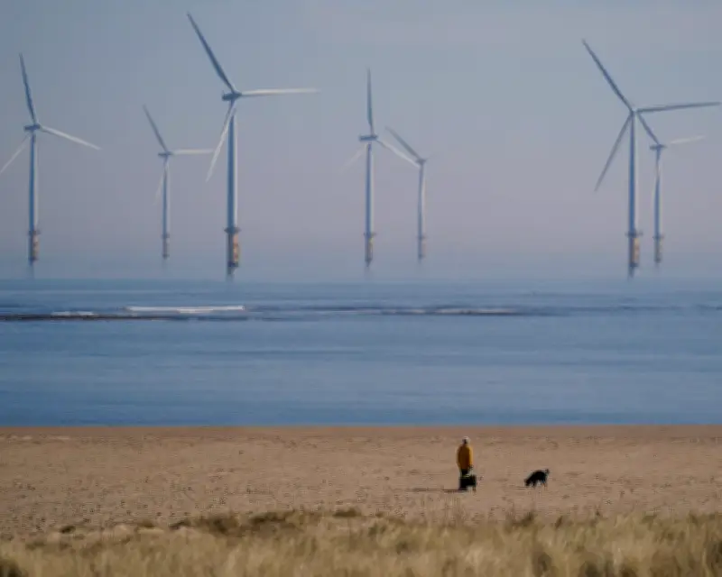 Crown Estate reports £1bn profit for third year on offshore wind boom