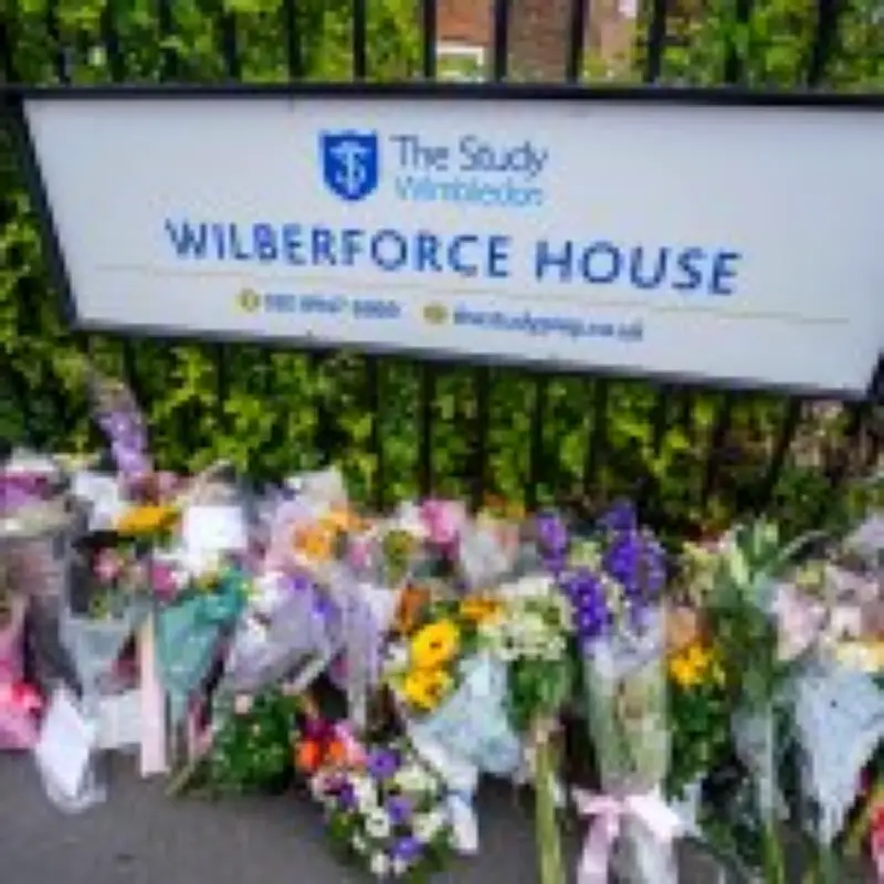 Driver accused of killing two girls in Wimbledon school crash appears in court