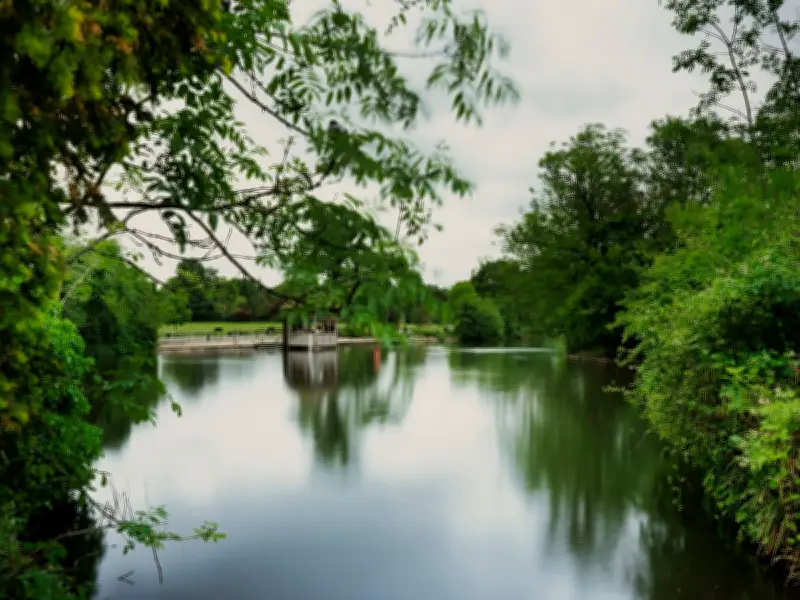 Dulwich Park: South London's tree-shaded oasis with boating lake and sourdough pizzas
