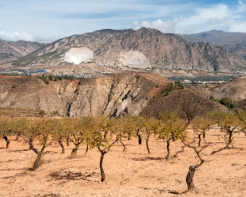 EU plans to rewrite water law to fast-track mines in water-stressed regions