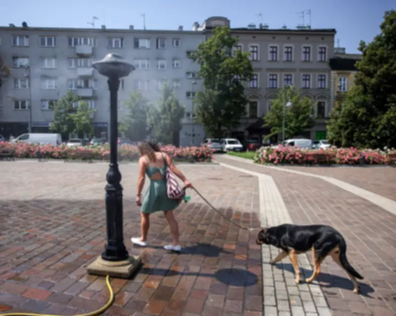 Germany, Czechia, Poland and Hungary Hit Record Temperatures Over 40°C