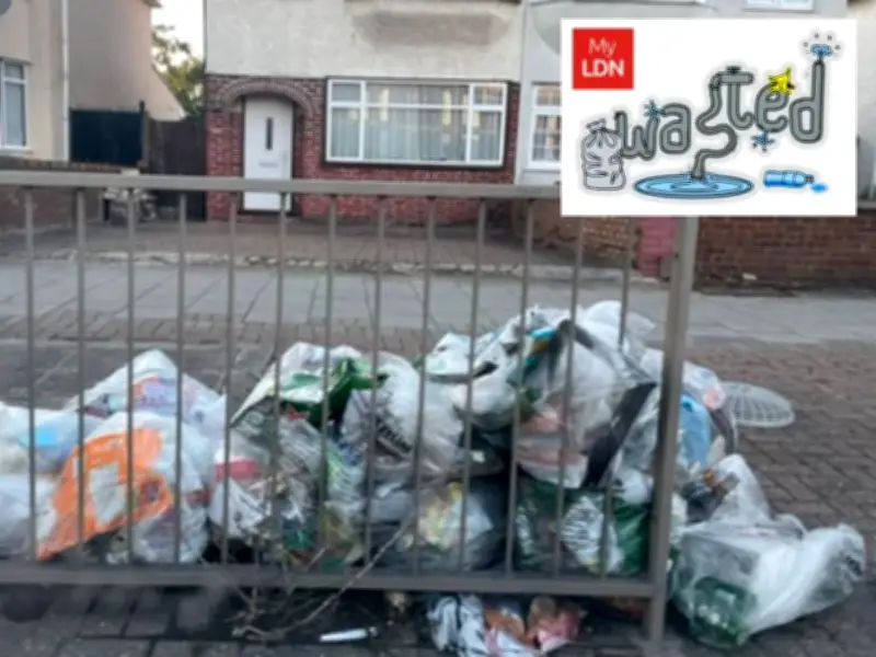 Hillingdon families at breaking point over rat-infested rubbish piles