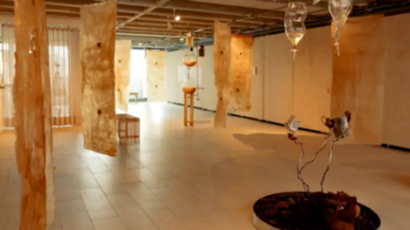 Hypha Gallery South Bank: Major New Arts Venue Opens in London