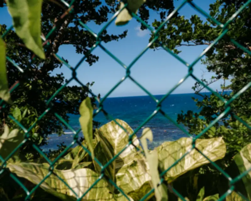 Jamaican Activists Take Legal Action to Halt Beach Privatization