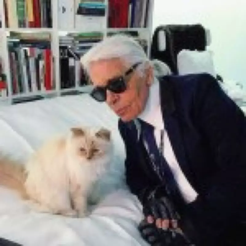 Karl Lagerfeld's Cat Choupette Yet to Receive Inheritance, Caretaker Says