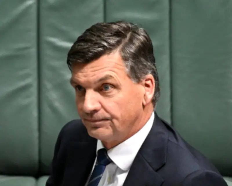 Liberals uneasy with Taylor's strategy on One Nation and multiculturalism