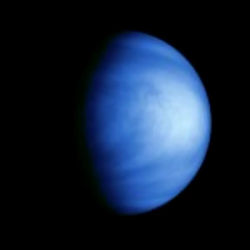 Life on Venus likely came from Earth, scientists say in new panspermia study
