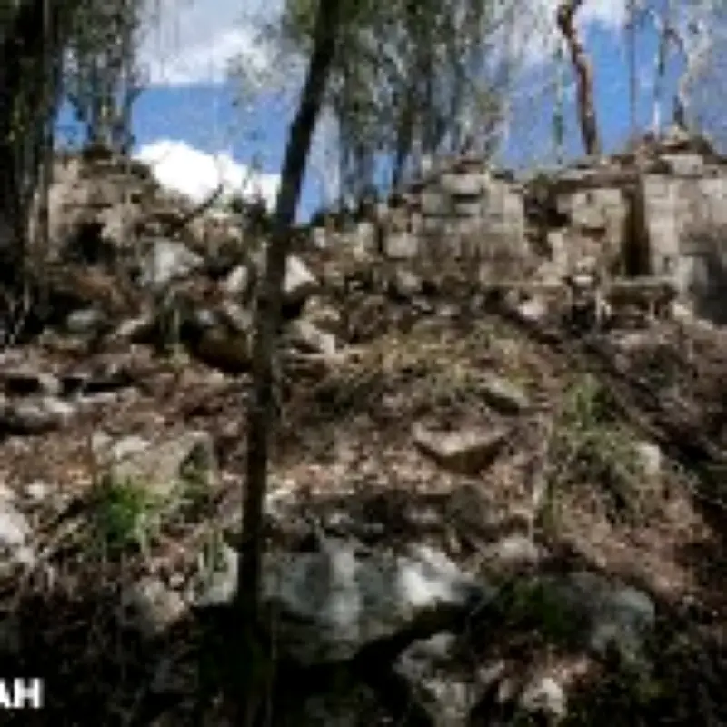 Lost Mayan city Minanbé with decapitation carvings found in Mexico jungle