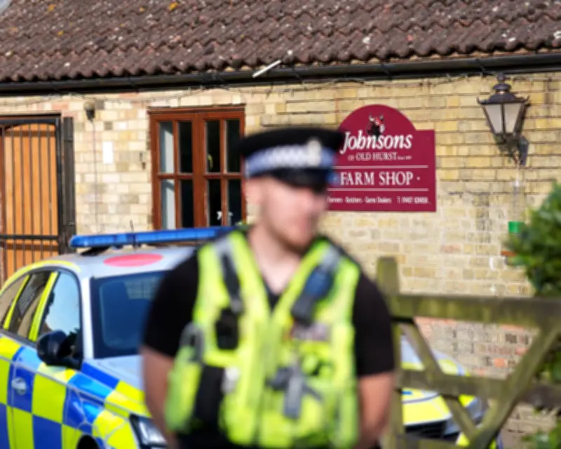 Man bailed after boy, 3, critically hurt in zoo crocodile enclosure