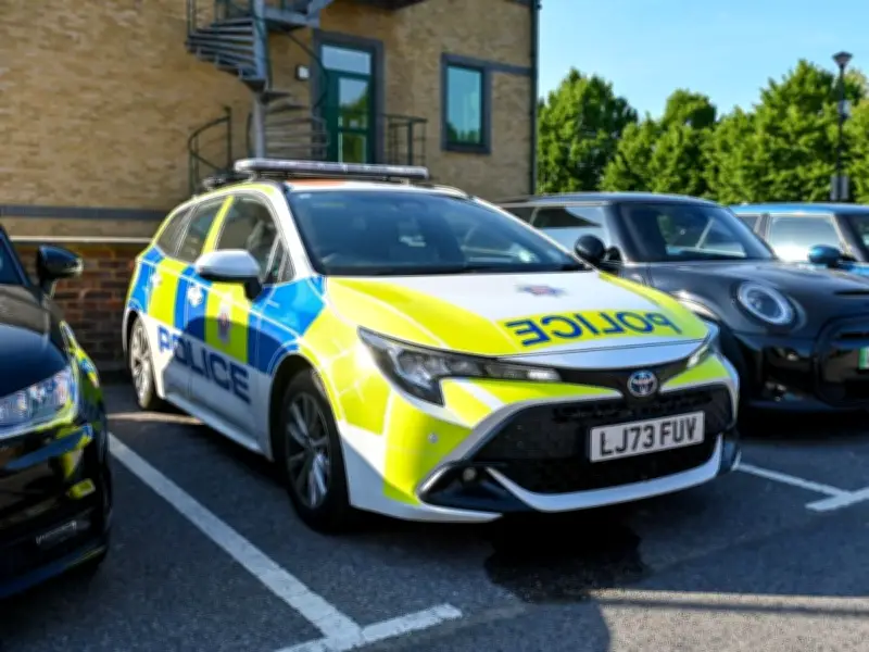Man charged with murder of two-year-old girl in Chertsey named by police