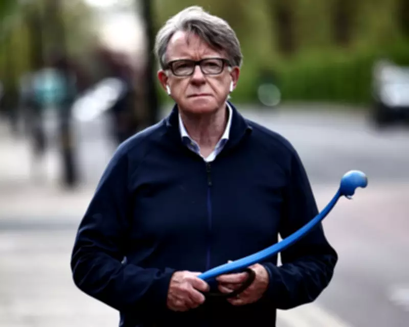 Mandelson Files Release: Embarrassing WhatsApps and Security Concerns Expected